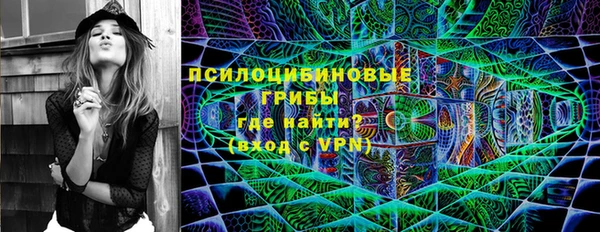 jwh Ельня