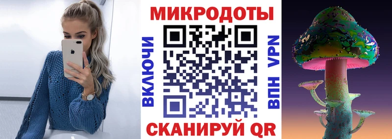 Галлюциногенные грибы мицелий как найти Заволжье