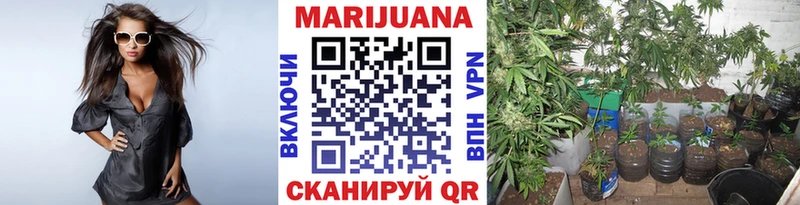 Канабис SATIVA & INDICA  это клад  Заволжье 